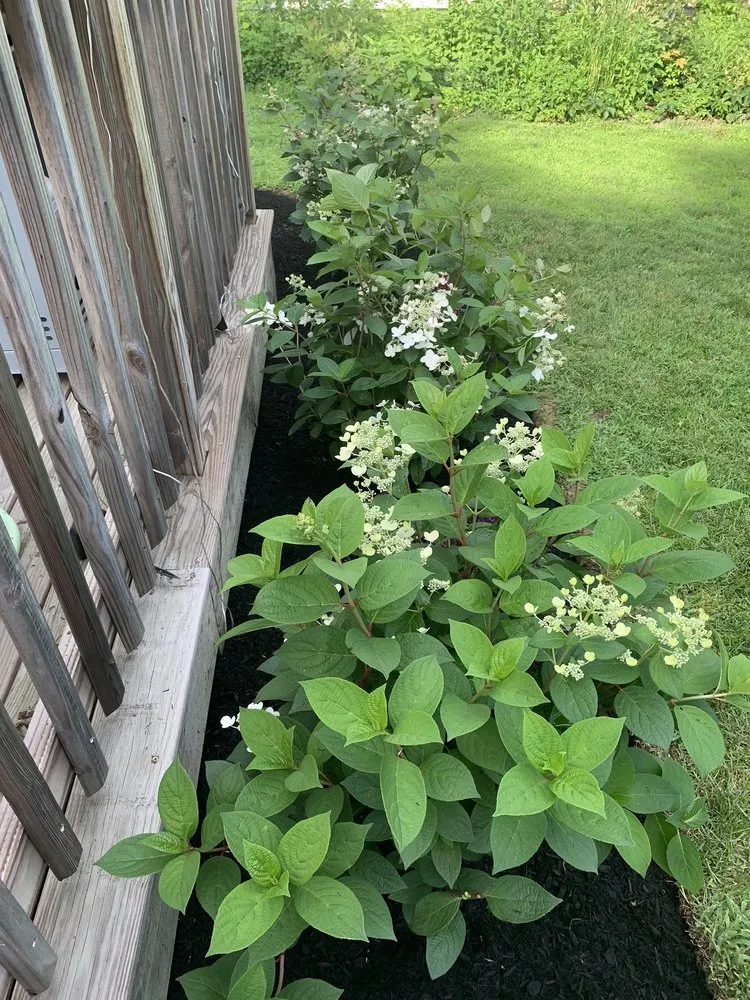 Top-rated lawn mowing service in Holden, MA - Perrone Landscaping