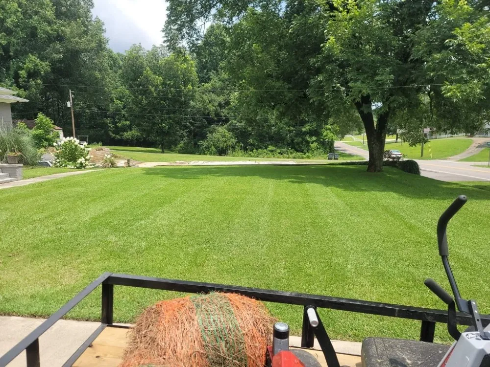 Top-rated lawn mowing service for year-round maintenance in Birmingham, AL by Perry Cutting Up