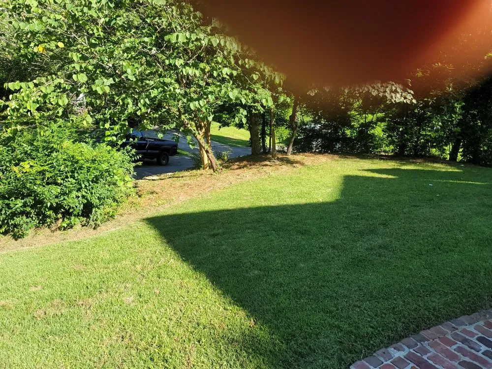 Trusted yard cleanup service near you across Birmingham, AL - Perry Cutting Up