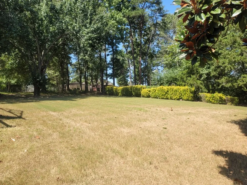 Professional landscape installation in Birmingham, AL - Perry Cutting Up