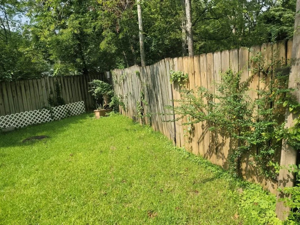 Top-rated landscape design in Birmingham, AL by Perry Cutting Up