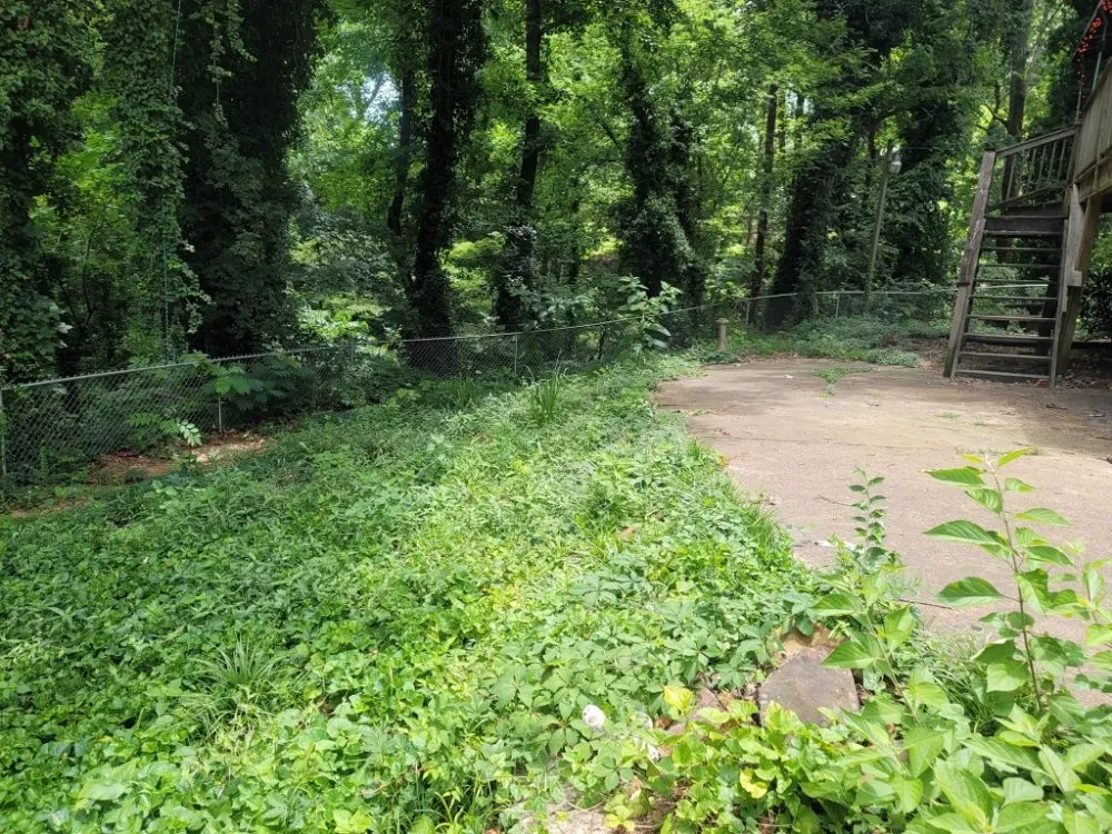 Local yard maintenance experts serving Birmingham, AL - Perry Cutting Up