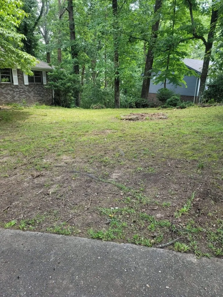 Top-rated yard maintenance in Birmingham, AL - Perry Cutting Up