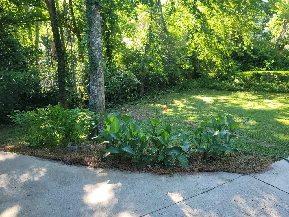 Professional residential landscaping in Birmingham, AL - Perry Cutting Up