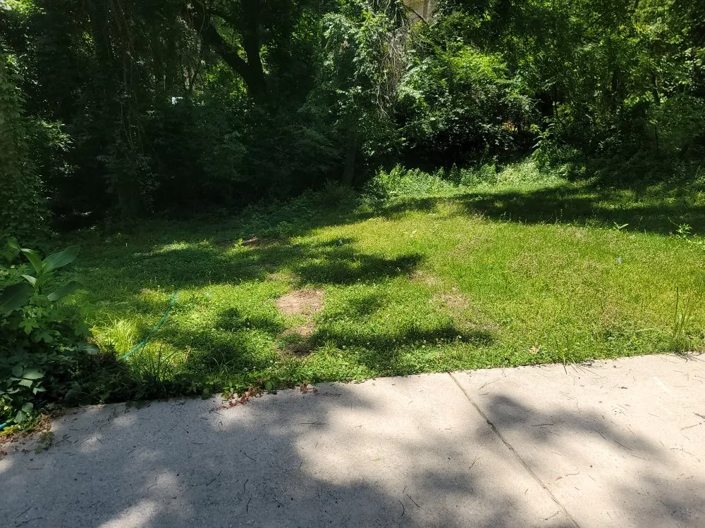 Expert yard cleanup service in Birmingham, AL - Perry Cutting Up