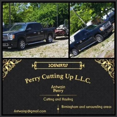 Perry Cutting Up Logo