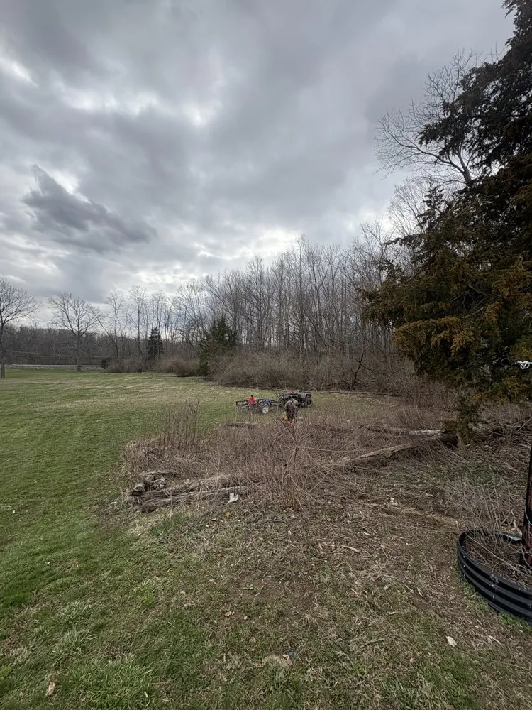 Affordable lawn care service for homes in Jamestown, OH by Perry Property Services