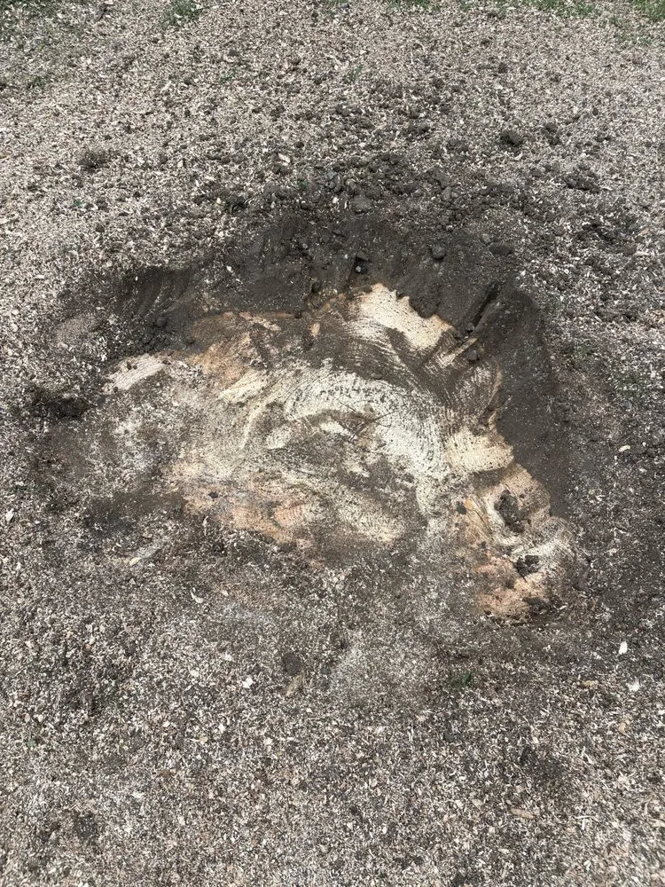 Expert residential landscaping for beautiful yards across Jamestown, OH - Perry Property Services