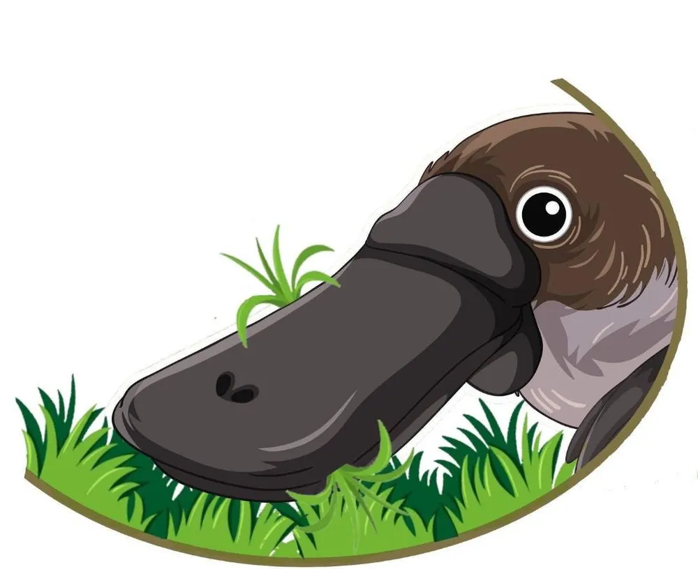 Top-rated outdoor landscaping near you in Wells, ME by Perry Snow & Grass