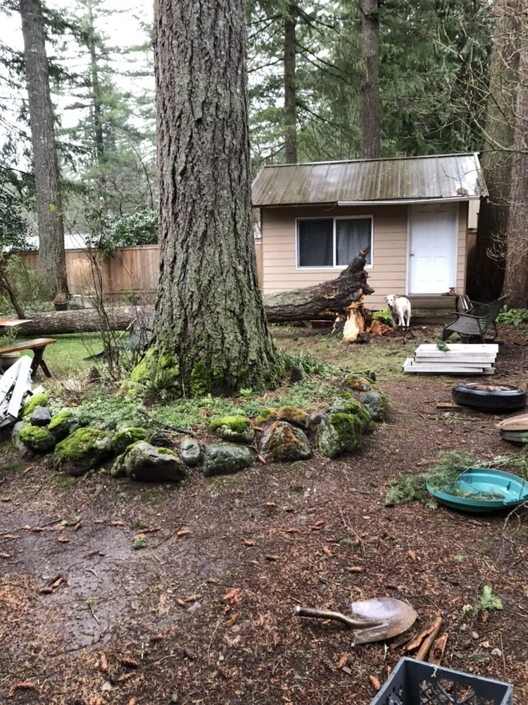 Trusted landscape design for year-round maintenance in North Bend, WA by Perryboy Construction