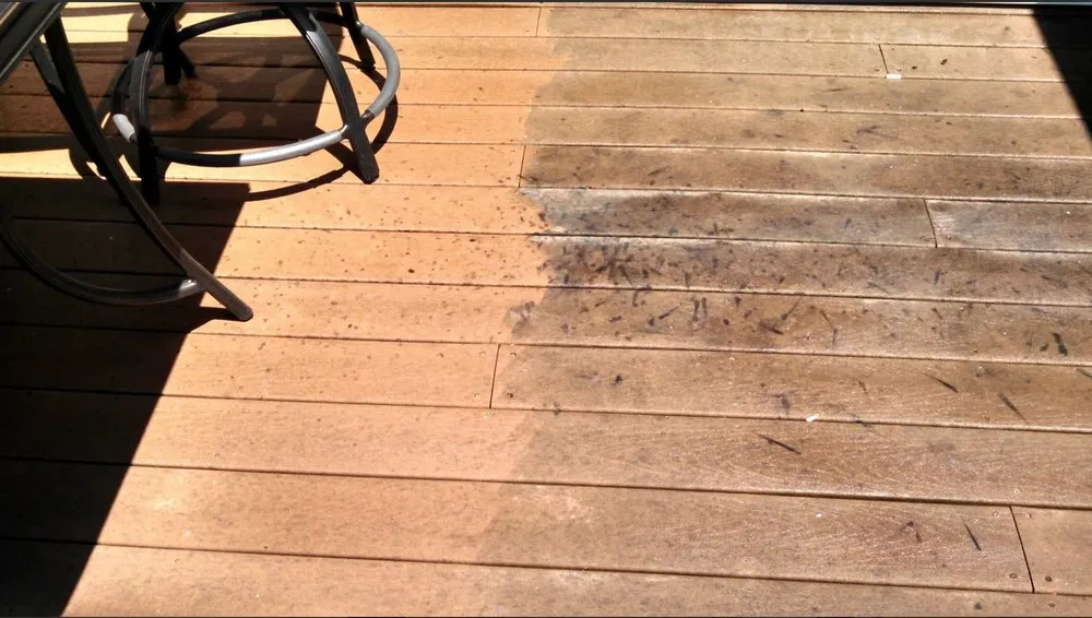 Professional yard cleanup service in Bohemia, NY by Perrys Home Services