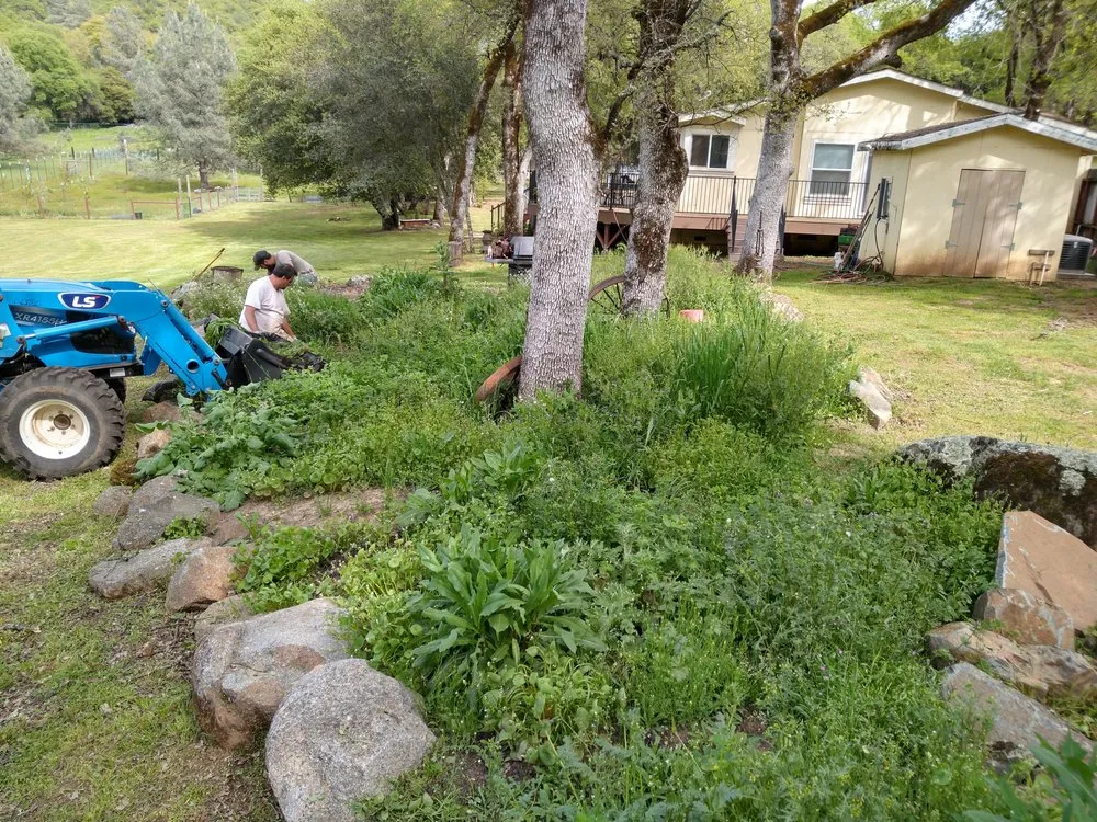 Professional lawn mowing service in Nevada City, CA - Perry's Landscaping