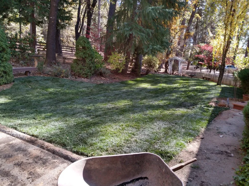Affordable yard cleanup service in Nevada City, CA by Perry's Landscaping