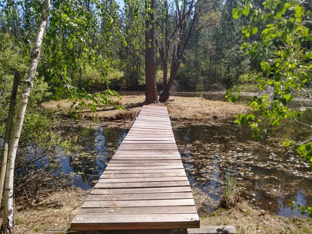 Expert landscape design in Nevada City, CA by Perry's Landscaping