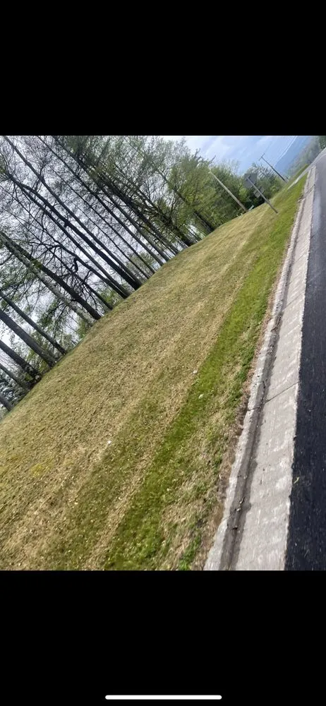 Reliable landscaping services for residential properties across Whitehall, NY - Perry’s Lawn Care