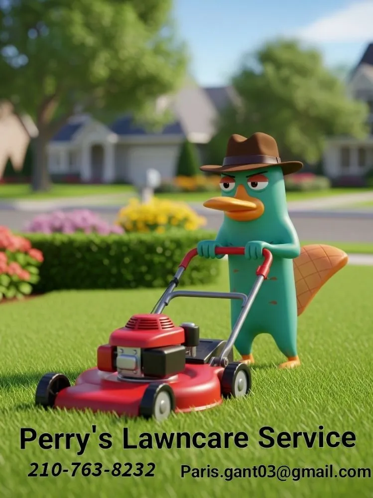 Top-rated yard cleanup service for year-round maintenance across Weslaco, TX - Perry's Lawncare Service