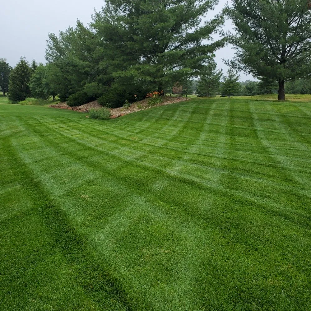 Top-rated landscape installation experts serving Cement City, MI - Perry's Pinnacle Outdoor Service