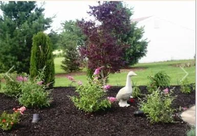 Trusted lawn mowing service for residential properties in Bellevue, OH by Perry's Plantation