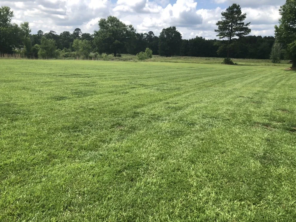 Trusted yard maintenance experts serving Plain Dealing, LA - Perrys professional lawn service