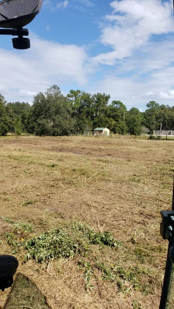 Top-rated outdoor landscaping for year-round maintenance across Summerfield, FL - Perry's Property Improvements