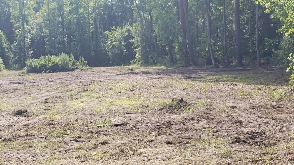 Custom yard cleanup service in Summerfield, FL - Perry's Property Improvements