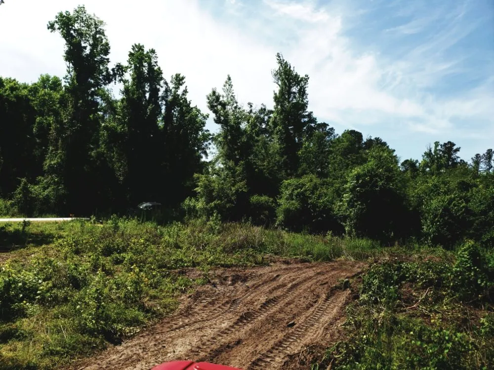 Expert yard cleanup service in Summerfield, FL - Perry's Property Improvements