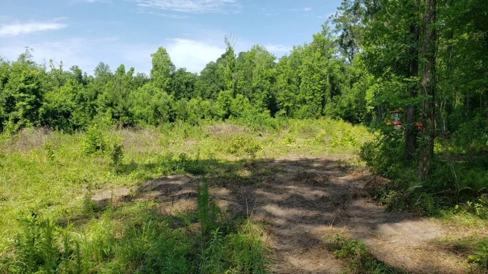 Expert garden landscaping in Summerfield, FL by Perry's Property Improvements