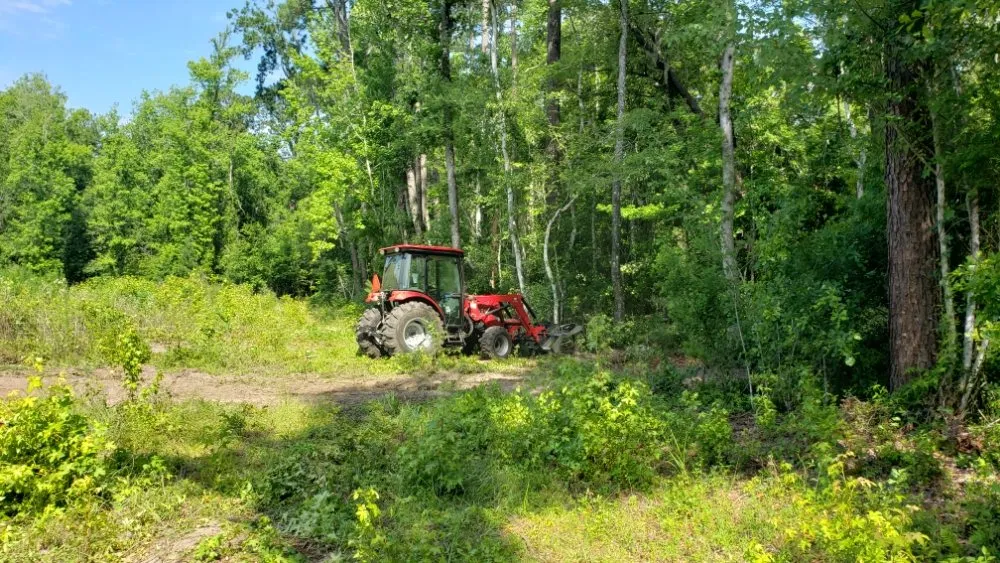 Local garden landscaping in Summerfield, FL by Perry's Property Improvements