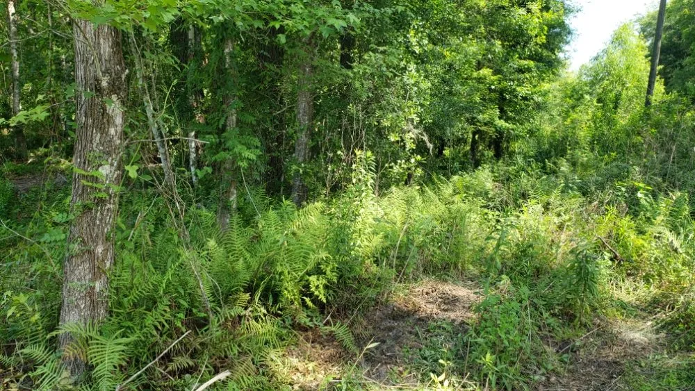 Expert garden landscaping for homes in Summerfield, FL by Perry's Property Improvements