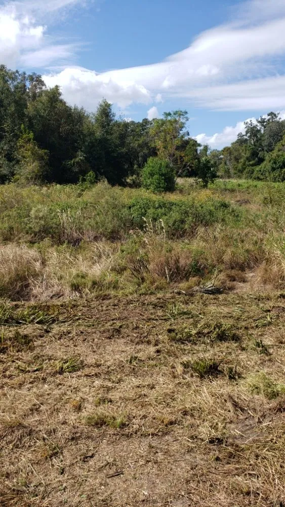 Top-rated outdoor landscaping for residential properties across Summerfield, FL - Perry's Property Improvements