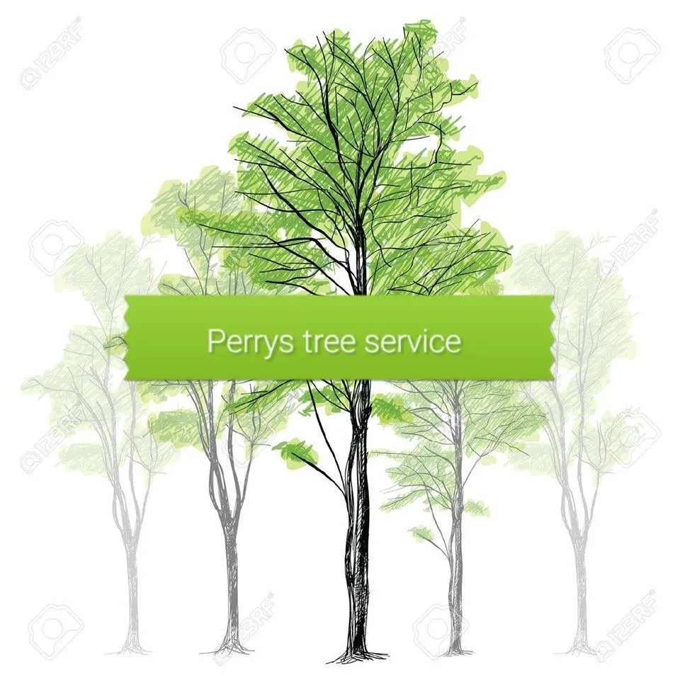 Trusted landscape installation for outdoor upgrades in Durham, NC by Perry's Tree Service