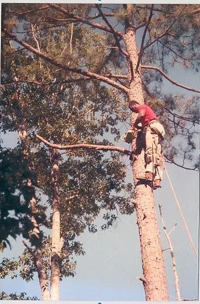 Custom garden landscaping in Durham, NC by Perry's Tree Service