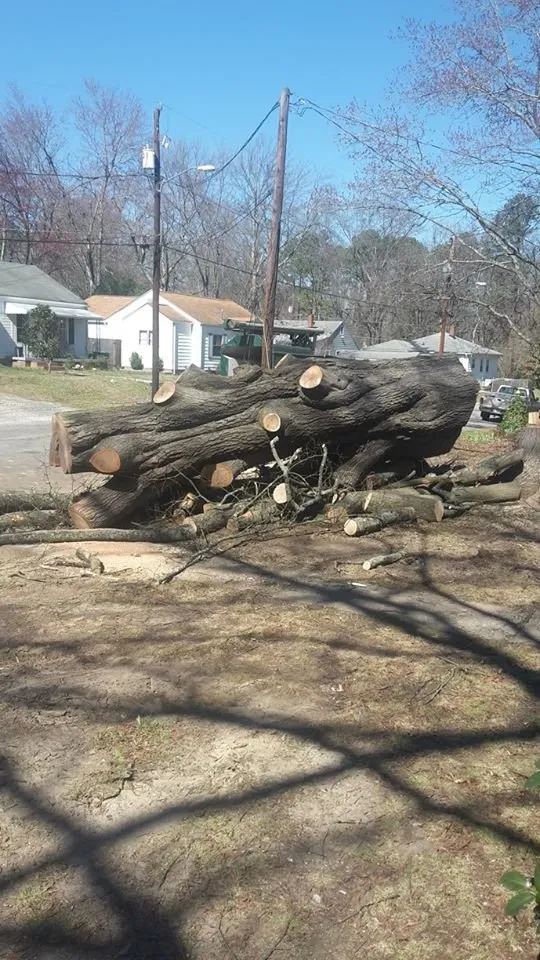 Top-rated lawn care service with custom design across Durham, NC - Perry's Tree Service