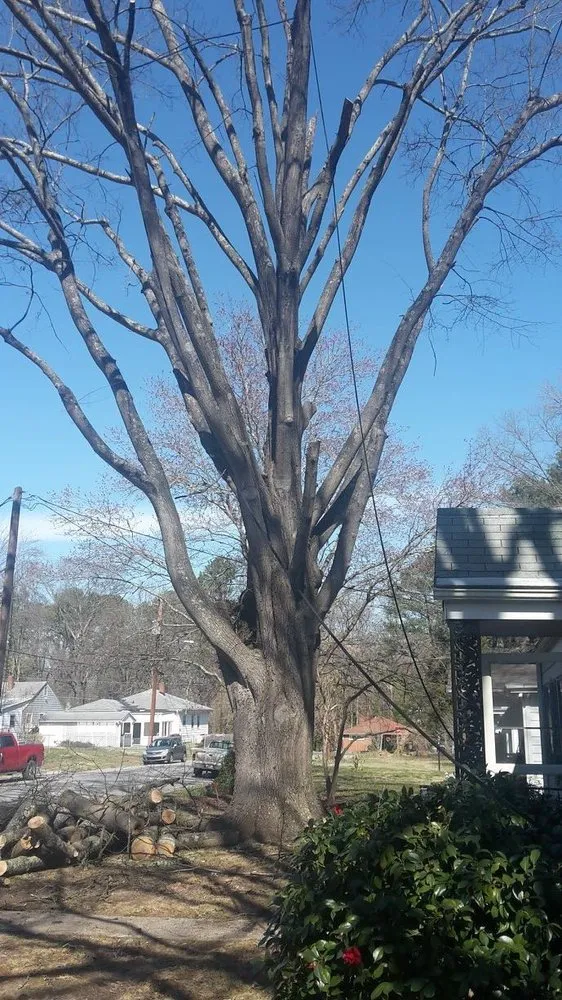 Reliable residential landscaping in Durham, NC - Perry's Tree Service