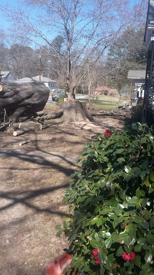Expert landscaping services for beautiful yards across Durham, NC - Perry's Tree Service