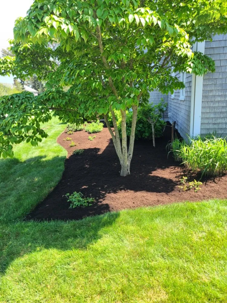 Reliable garden landscaping in City of Orange, NJ by Perry's Yard Work