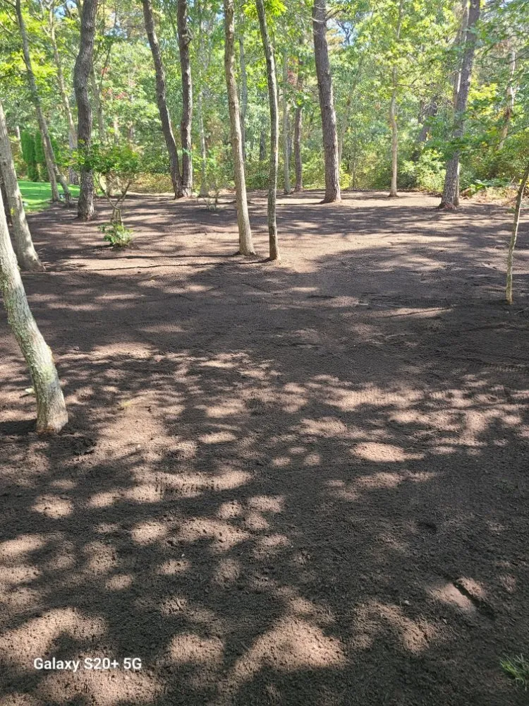 Trusted lawn mowing service for beautiful yards in City of Orange, NJ by Perry's Yard Work