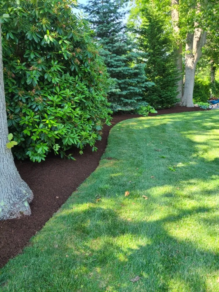 Custom residential landscaping for beautiful yards across City of Orange, NJ - Perry's Yard Work