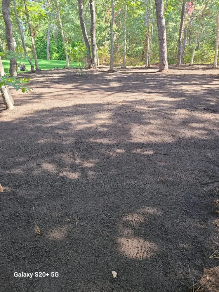 Top-rated yard cleanup service in City of Orange, NJ by Perry's Yard Work