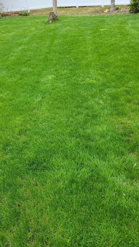 Reliable landscape design in City of Orange, NJ - Perry's Yard Work