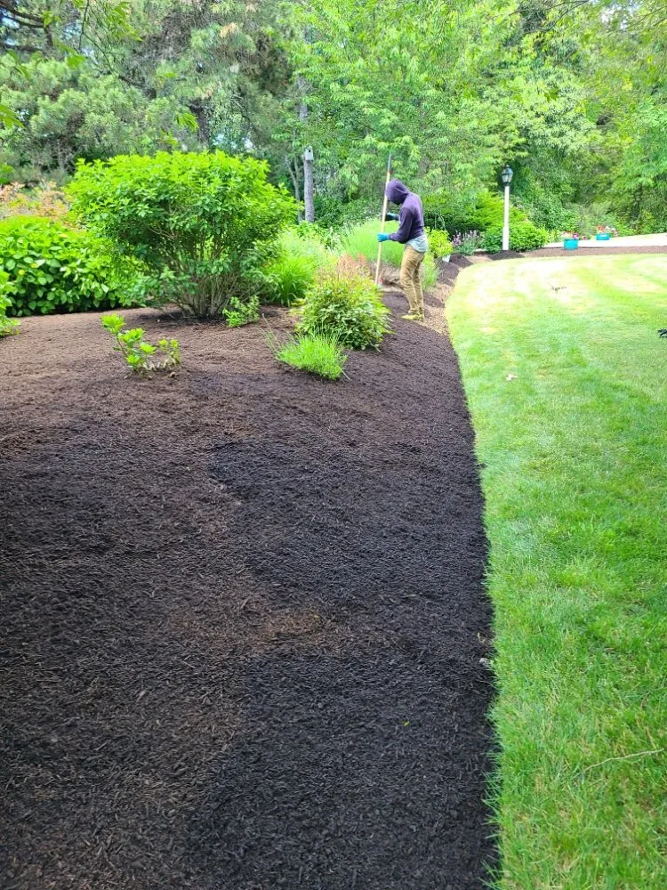 Reliable yard cleanup service for beautiful yards across City of Orange, NJ - Perry's Yard Work