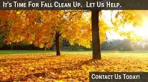 Custom garden landscaping in Perrysburg, OH - Perrysburg Landscape