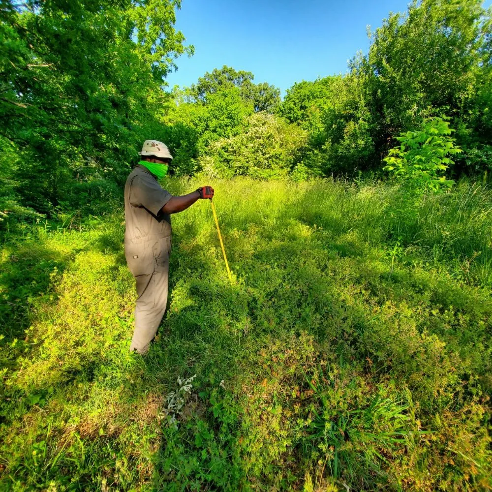 Affordable yard maintenance experts serving Chattanooga, TN - Persevere Complete Lawn Care