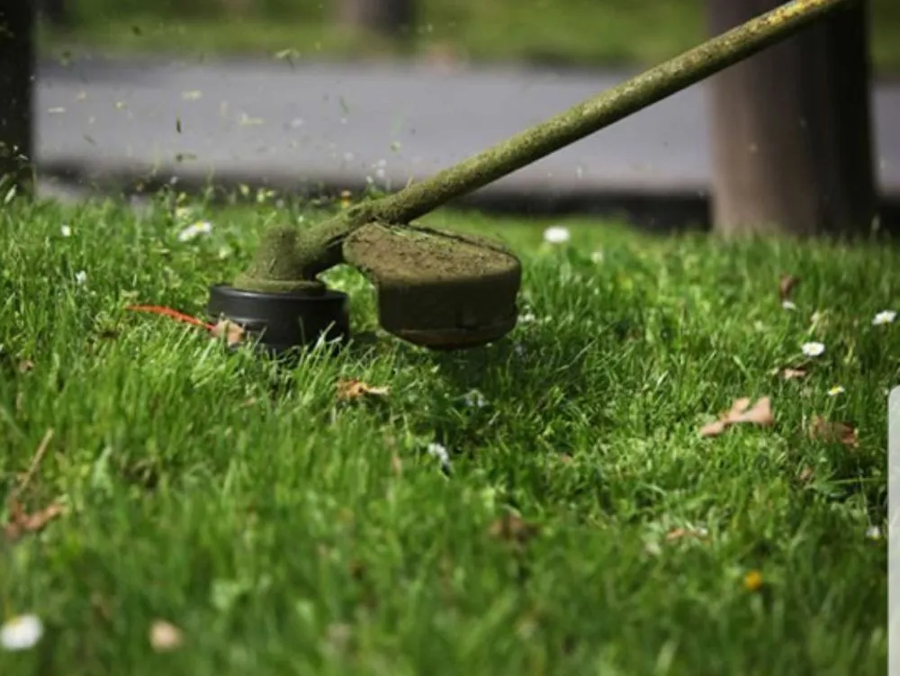 Affordable yard cleanup service for year-round maintenance across Witter, AR - Personal Lawn And Yard Services
