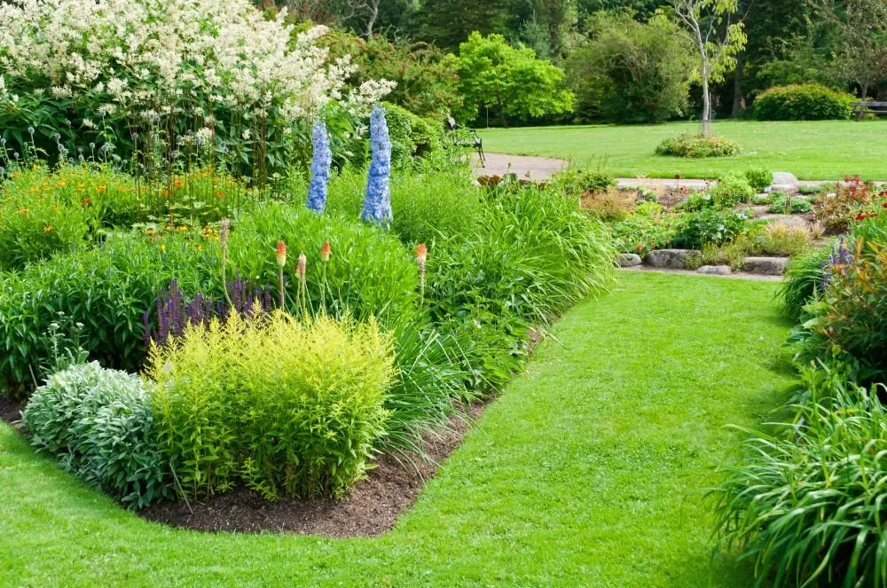 Custom yard cleanup service in Witter, AR - Personal Lawn And Yard Services