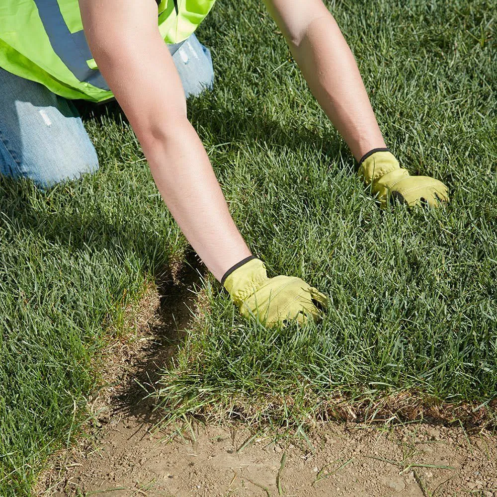 Trusted landscape installation in Witter, AR - Personal Lawn And Yard Services