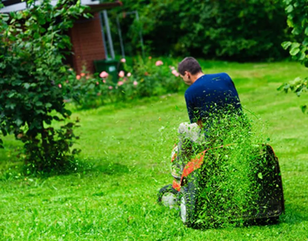 Local landscaping services experts serving Witter, AR - Personal Lawn And Yard Services