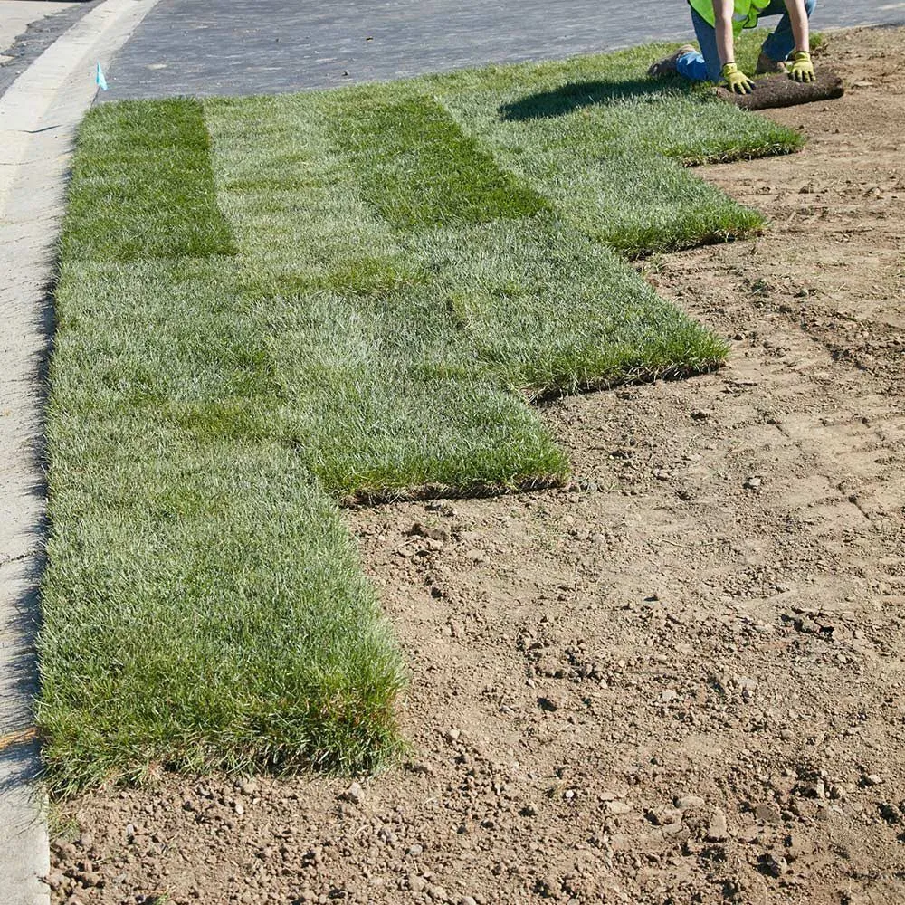 Affordable landscaping services for year-round maintenance across Witter, AR - Personal Lawn And Yard Services