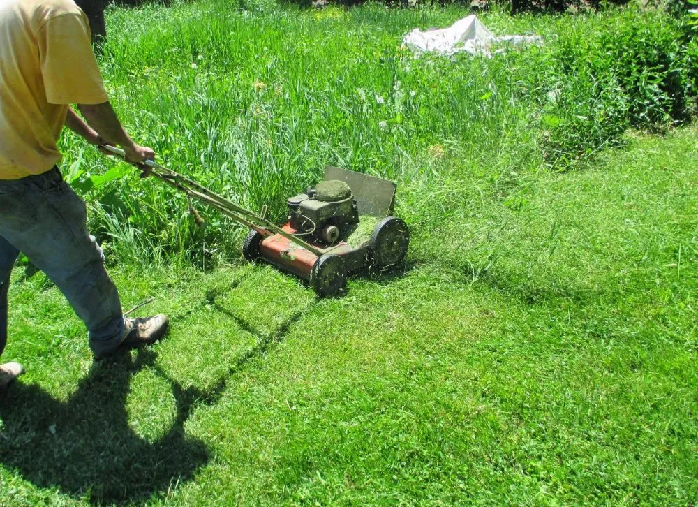Custom lawn mowing service in Witter, AR by Personal Lawn And Yard Services
