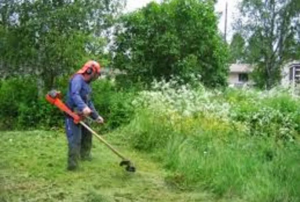 Affordable lawn mowing service in Witter, AR - Personal Lawn And Yard Services
